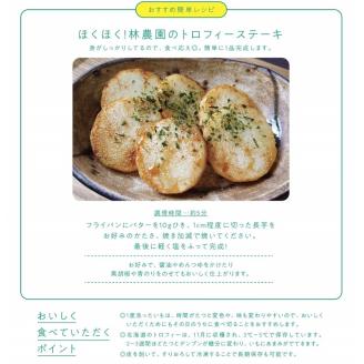 【予約：2026年11月下旬から順次発送】北見産 こだわりの長芋トロフィー 5kg箱 ( 長いも ながいも 野菜 数量限定 期間限定 5キロ )【169-0001-2026】