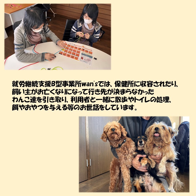 《14営業日以内に発送》パラコード製 ストラップ 1個 小型犬用首輪 1個 小型犬用リード1本 3点セット ( ペット 犬 小物 わんこ 手作り 首輪 リード )【195-0002】