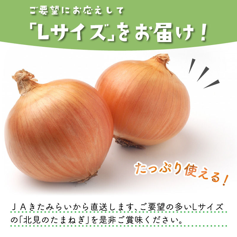 ☆L玉隔月定期便(10月・12月・2月)☆JAきたみらいから直送する新鮮玉ねぎ 10kg(L玉)×3回 ( 野菜 定期便 玉葱 たまねぎ 期間限定 )【999-0147-2025】
