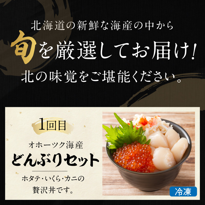  【3ヶ月定期便】船長おすすめ！海の幸セット ( ほたて ホタテ 海鮮丼 ほっけ 鮭 いか サーモン しじみ 定期便 魚介 )【999-0195】
