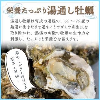 【予約：2024年11月上旬から順次発送】サロマ湖湯通し1年 活貝牡蠣3キロ ( カキ 魚介類 期間限定 3kg )【091-0001-2024】