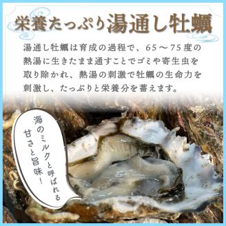 【予約：2024年11月上旬から順次発送】サロマ湖湯通し2年 活貝牡蠣 2.5キロ ( カキ 魚介類 期間限定 2.5kg )【091-0003-2024】