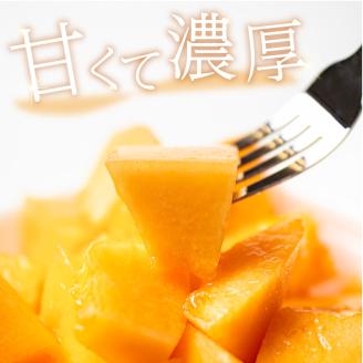 【予約：2025年7月から順次発送】北海道北見市産 有機栽培 赤肉街道 メロン 約2kg×4玉 ( 果実 果物 くだもの フルーツ デザート 赤肉 )【034-0005-2025】