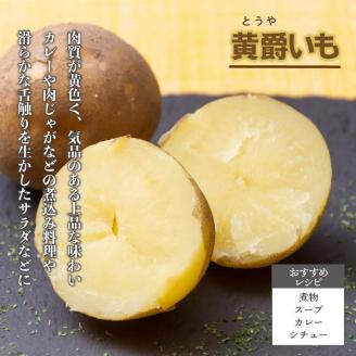 【予約：2024年10月中旬から順次発送】JAきたみらい「男爵いも・黄爵(とうや)いもセット」10kg ( 期間限定 野菜 セット 芋 )【005-0019-2024】