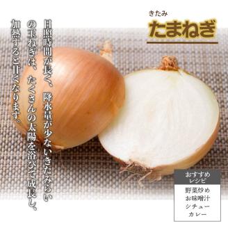 【予約：2024年10月上旬から順次発送】北海道 JAきたみらい「たまねぎ・紅玉ねぎセット」9kg ( 期間限定 野菜 たまねぎ 玉葱 )【005-0021-2024】