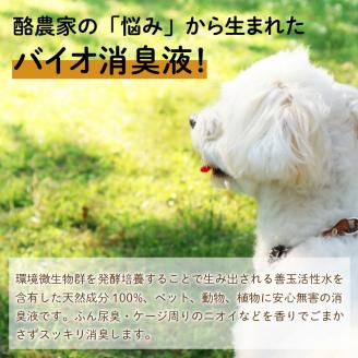 【3ヶ月定期便】きえ～るD ギフトボックス小 ペット用 D-KGP-25 ( 消臭 消臭剤 消臭液 スプレー ゼリー バイオ バイオ消臭 天然成分 定期便 )【999-0025】