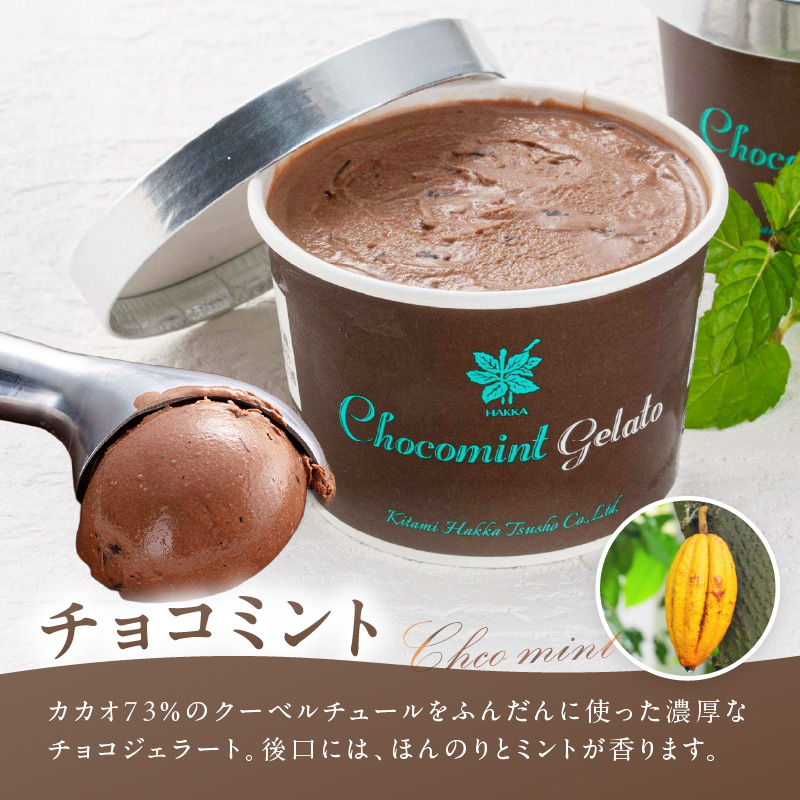 ミントジェラート カップ 3種×2個 ( ジェラート アイス アイスクリーム ハッカ チョコ ミント ミントアイス スイーツ チョコチップミント カカオ カップアイス )【007-0010】