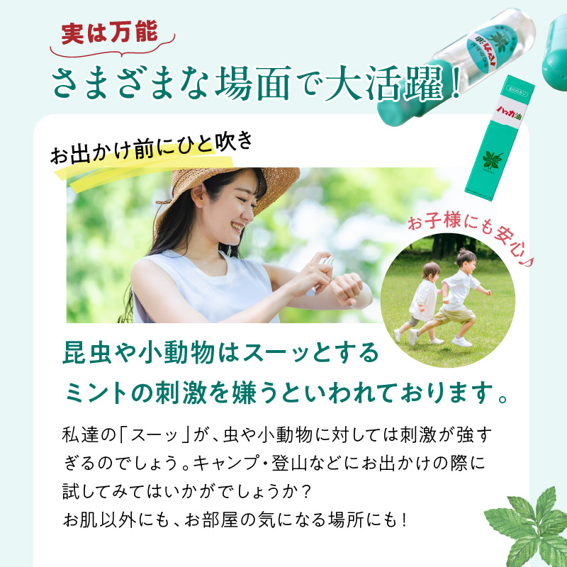 ハッカ油 ボトル 250mlとハッカ油 スプレー 2本 セット ( はっか 薄荷 ミント ハッカ 爽快 )【007-0028】