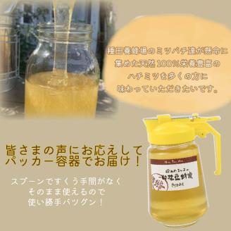 《14営業日以内に発送》【国産蜂蜜】はちみつ450g パッカー容器2本 ( 白花豆蜂蜜 百花蜂蜜 はちみつ 蜂蜜 ハチミツ ハニー パッカー容器 )【022-0013】