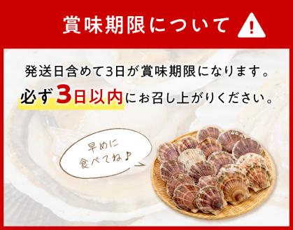 オホーツク貝付きほたて 5kg(30枚～50枚)( 海鮮 魚介 魚介類 貝 貝類 ホタテ ほたて 帆立 殻付き 貝柱 贈答 ギフト 贈り物 お中元 お祝い BBQ バーベキュー )【031-0013】