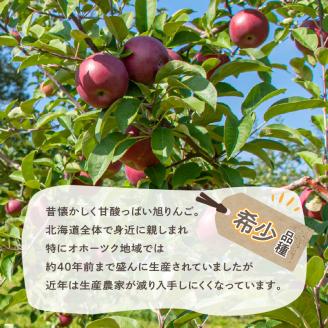 旭りんごのシードル 3本 ( りんご お酒 酒 シードル )【044-0006】