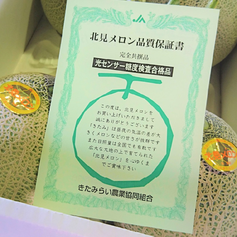 【予約：2026年7月上旬から順次発送】【特優品50箱限定！】ＪＡきたみらいから直送する香り良く甘くてジューシーな北見メロン ( メロン めろん 果物 期間限定 数量限定 フルーツ 果汁 果肉 )【104-0013-2026】
