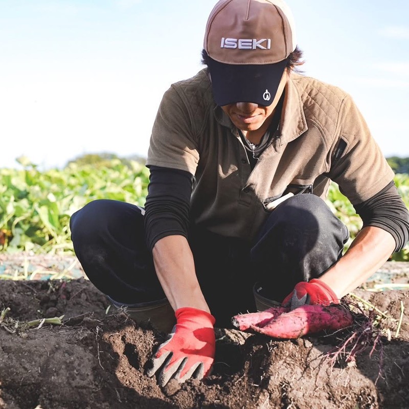 【予約：2025年11月中旬から順次発送】北海道北見市常呂町産 サツマイモ オホーツクシルク 5kg ( さつまいも さつま芋 焼き芋 大学芋 )【111-0001】