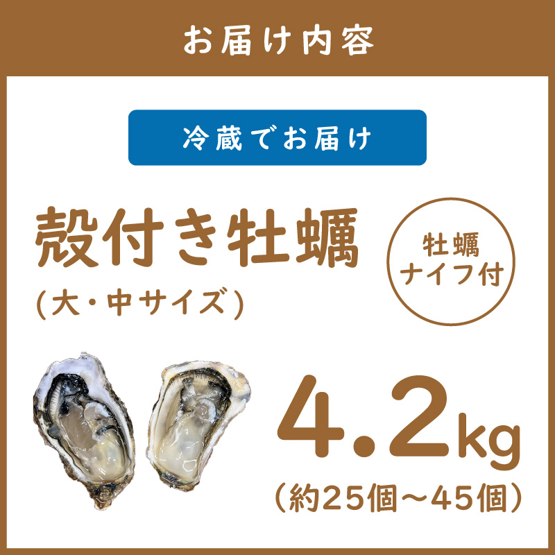 【予約：2025年10月下旬から順次発送】サロマ湖産 殻付き2年牡蠣 4.2kg サイズ不揃い ※牡蠣ナイフ付 ( カキ かき 4.2キロ 魚介 海鮮 貝 ふるさと納税 BBQ バーベキュー )【113-0014-2025】