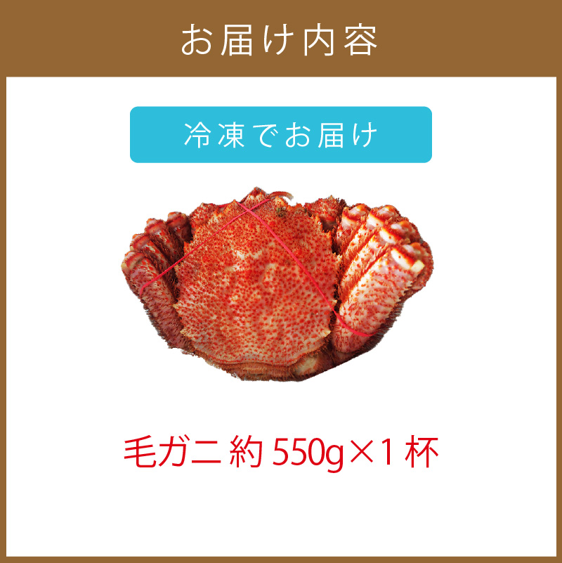 オホーツク海産 浜茹で毛ガニ 約550g×1杯 ( 海鮮 かに カニ 蟹 毛ガニ ボイル 贈答 ギフト )【113-0012】
