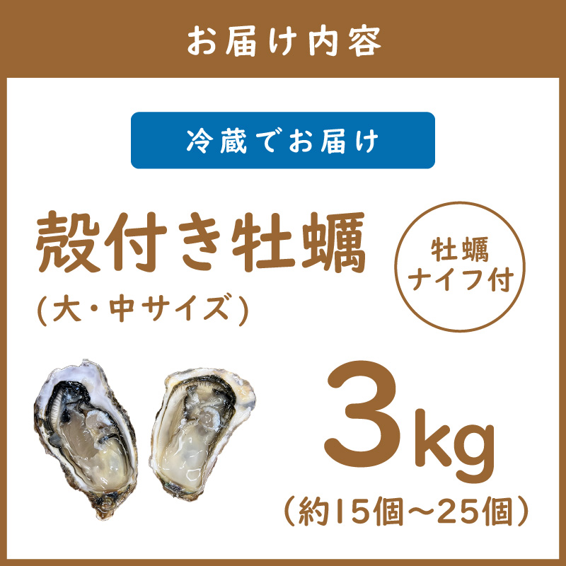 【予約：2025年10月下旬から順次発送】サロマ湖産 殻付き2年牡蠣 3kg サイズ不揃い ※牡蠣ナイフ付 ( カキ かき 3キロ 魚介 海鮮 貝 ふるさと納税 BBQ バーベキュー )【113-0015-2025】