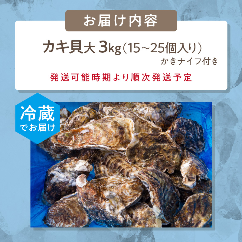 サロマ湖自慢の殻付きカキ貝 大 3kg詰め ( 牡蠣 かき 濃厚 大きい 魚介類 貝類 殻付 殻付き牡蠣 BBQ バーベキュー )【114-0072-2025】