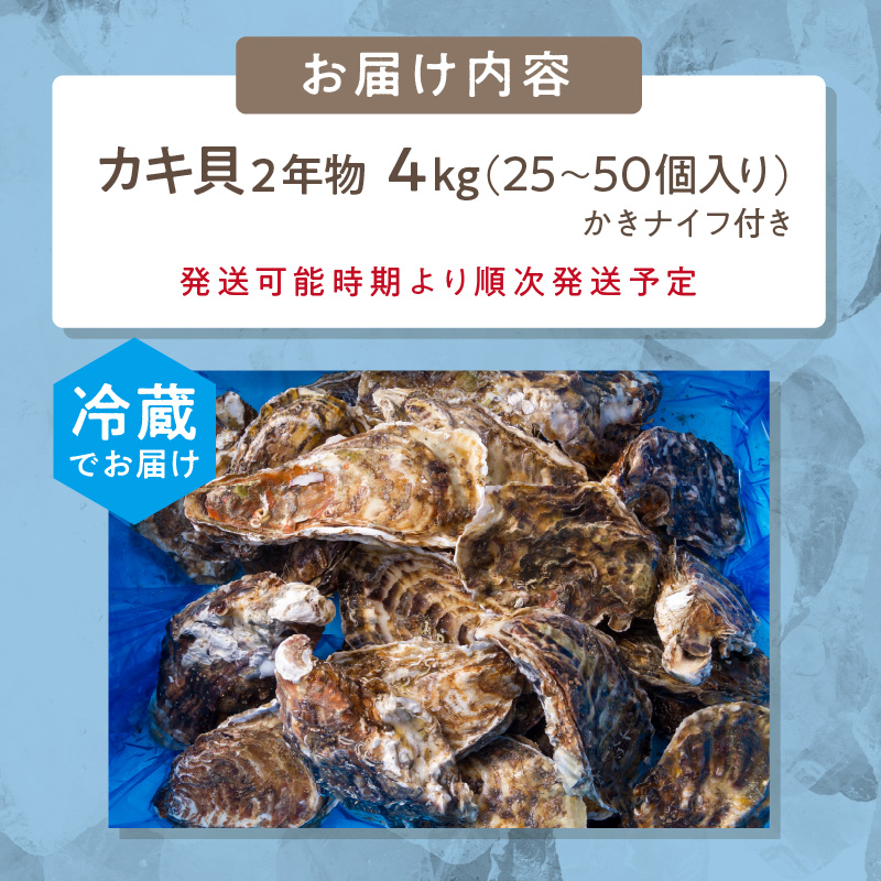 サロマ湖自慢の殻付きカキ貝 2年物 4kg詰め ( 牡蠣 かき 濃厚 魚介類 貝類 カキ ふるさと納税 牡蠣 北見市 BBQ )【114-0071-2025】