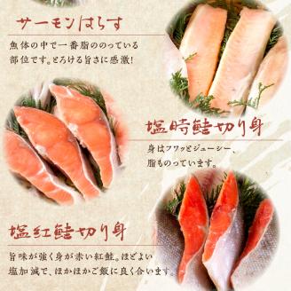 《14営業日以内に発送》船長自慢の海鮮セット ( 海鮮セット 海鮮 魚介類 ホッケ ナメタガレイ いか サーモン 鮭 時鮭 紅鮭 )【114-0065】