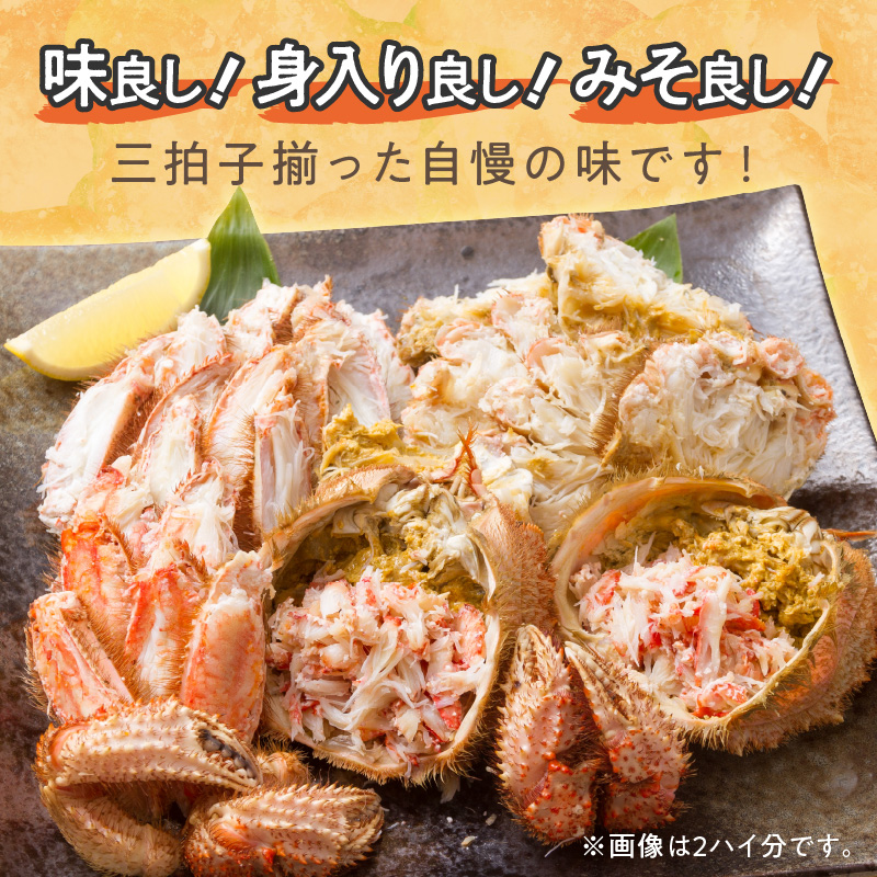 【予約：2026年3月下旬から順次発送】【旬の浜ゆで毛ガニを冷蔵便で】オホーツク海産 浜茹で海明け毛がに 約550g×1パイ 冷蔵 ( かに 蟹 魚介類 海鮮 )【114-0027-2026】