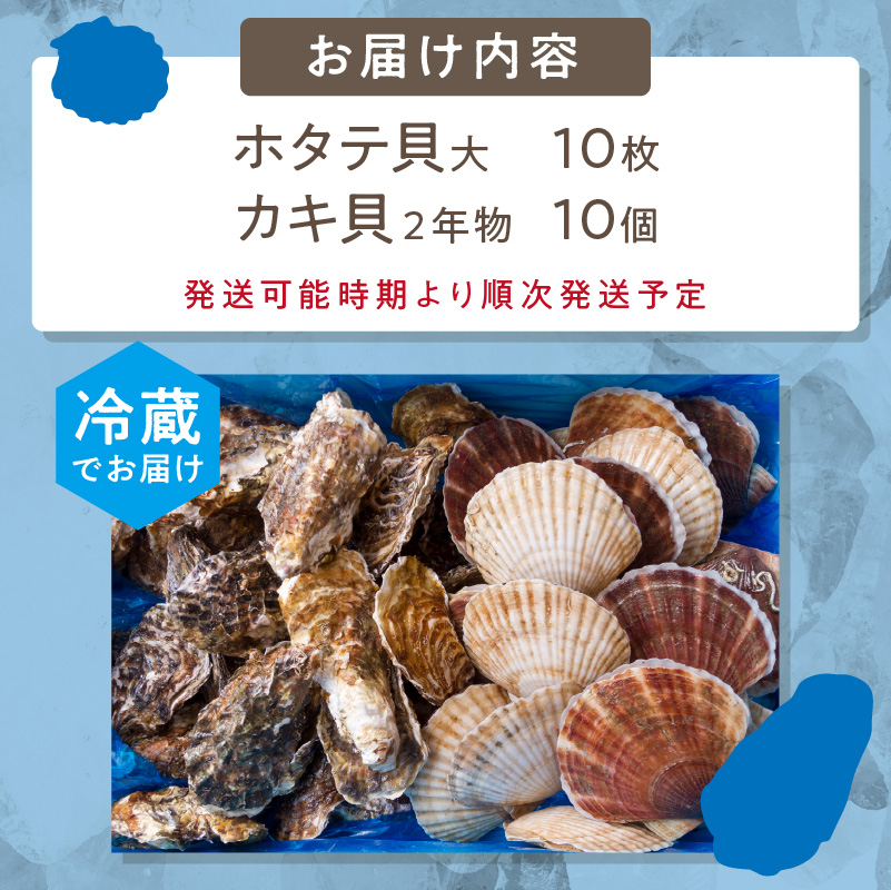 【予約：2025年11月中旬から順次発送】活ホタテ貝 大 10枚・活牡蠣 2年物 10個 ( 海鮮 魚介 貝 帆立 ほたて ホタテ カキ かき 牡蠣 セット BBQ )【114-0046】
