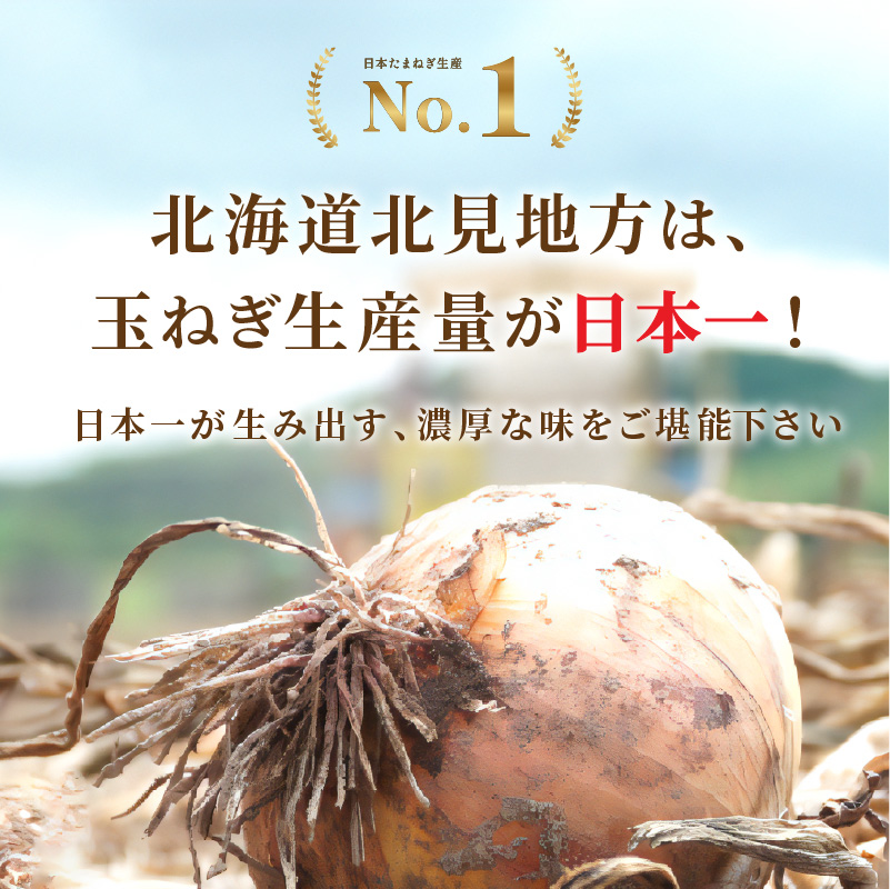 《14営業日以内に発送》大地の恵み北海道オニオンスープ 12袋×2箱 ( スープ オニオンスープ 玉葱 タマネギ たまねぎ 即席 ふるさと納税 )【125-0085】