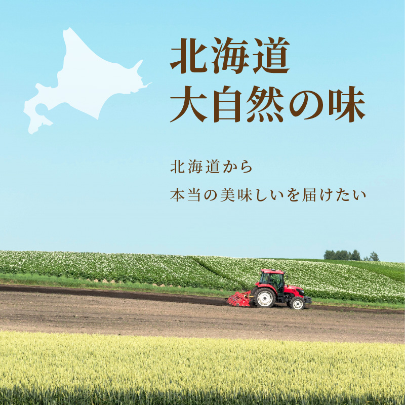 《14営業日以内に発送》大地の恵み北海道じゃがバタースープ 12袋×2箱 ( スープ じゃがバター じゃがいもスープ 即席 ふるさと納税 )【125-0086】