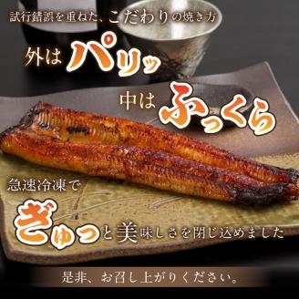 《14営業日以内に発送》オホーツクの綺麗な地下水で育った オホーツク うなぎ 2尾 ( 蒲焼 蒲焼き 丑の日 土用丑の日 )【160-0003】