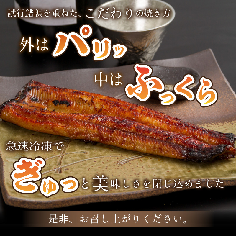 《14営業日以内に発送》オホーツクの綺麗な地下水で育った オホーツク うなぎ 3尾 ( 蒲焼 蒲焼き 丑の日 土用丑の日 )【160-0004】