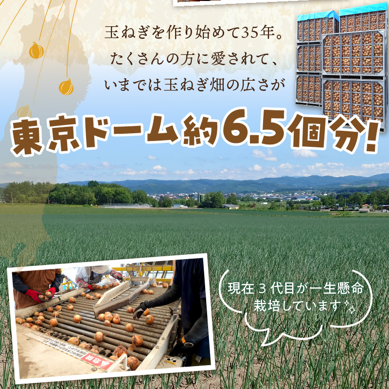 【予約：2026年10月から順次発送】日本一の生産地！北海道北見市の玉ねぎ 5kg！スープ2本付き♪ ( 玉ねぎ 玉葱 たまねぎ タマネギ オニオン スープ 即席 料理 )【164-0006-2026】