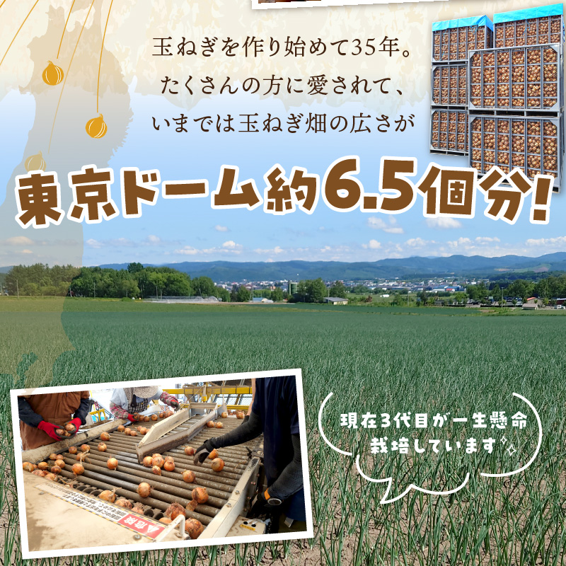 【予約：2026年10月から順次発送】日本一の生産地！北海道北見市の玉ねぎ 2kg！スープ2本付き♪ ( 玉ねぎ 玉葱 たまねぎ タマネギ オニオン スープ 即席 料理 )【164-0009】