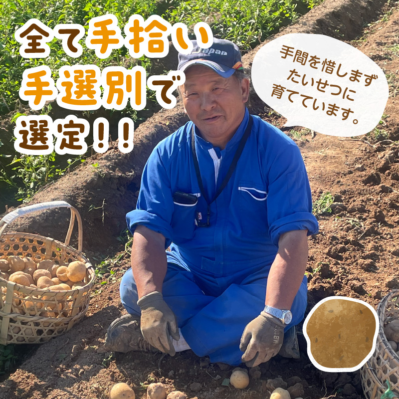 【予約：2026年2月上旬から順次発送】【選べる3サイズ】宇野さんの手拾い、手選別の越冬ジャガイモ 2kg ( 芋 野菜 選べる )【167-0002-2026】
