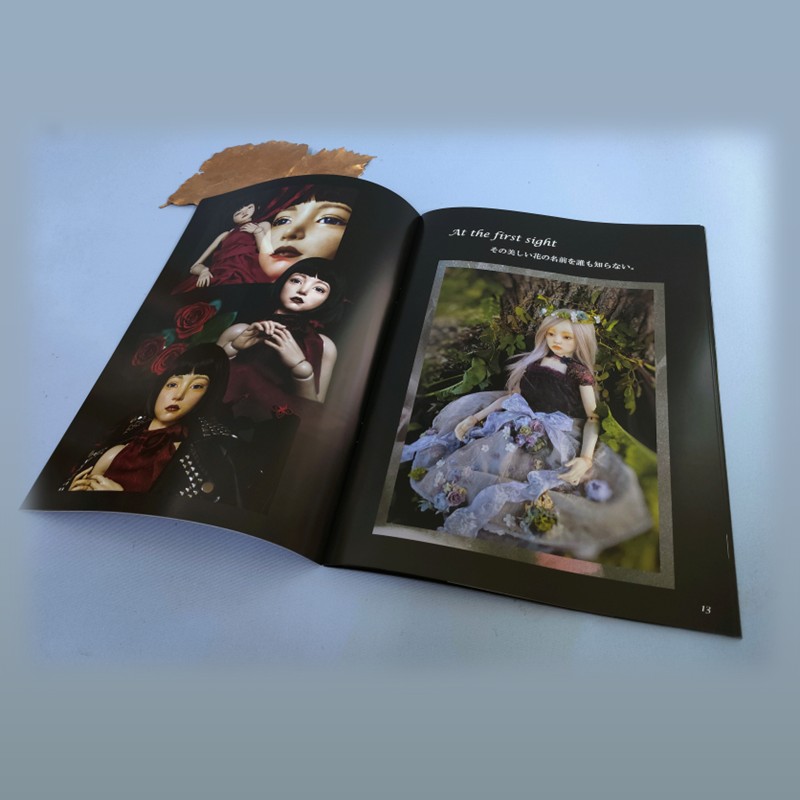 《14営業日以内に発送》Minagawa Dolls 作品集 「Minagawa Dolls Gallery Dreamer」 ( 人形 写真集 作品集 北海道 )【190-0003】