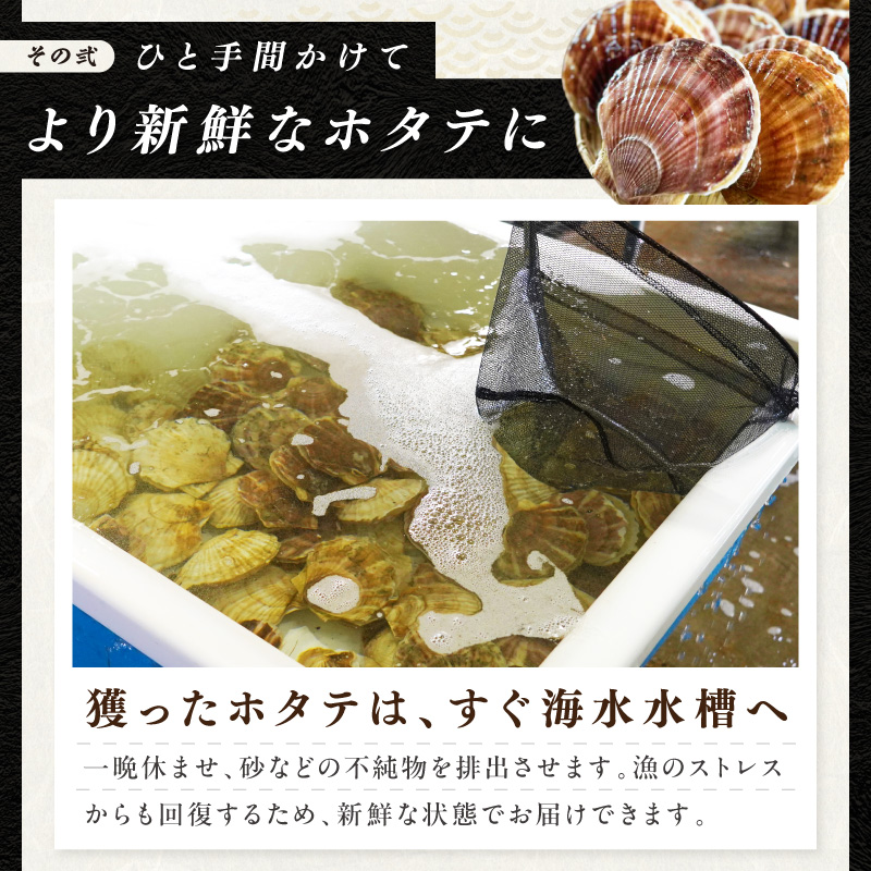 【予約：2026年3月下旬から順次発送】北海道オホーツク産 漁師直送 むき身プレミアムホタテ 300g ( ホタテ ほたて 帆立 魚介 海鮮 貝 生食 バター焼き )【197-0002-2026】