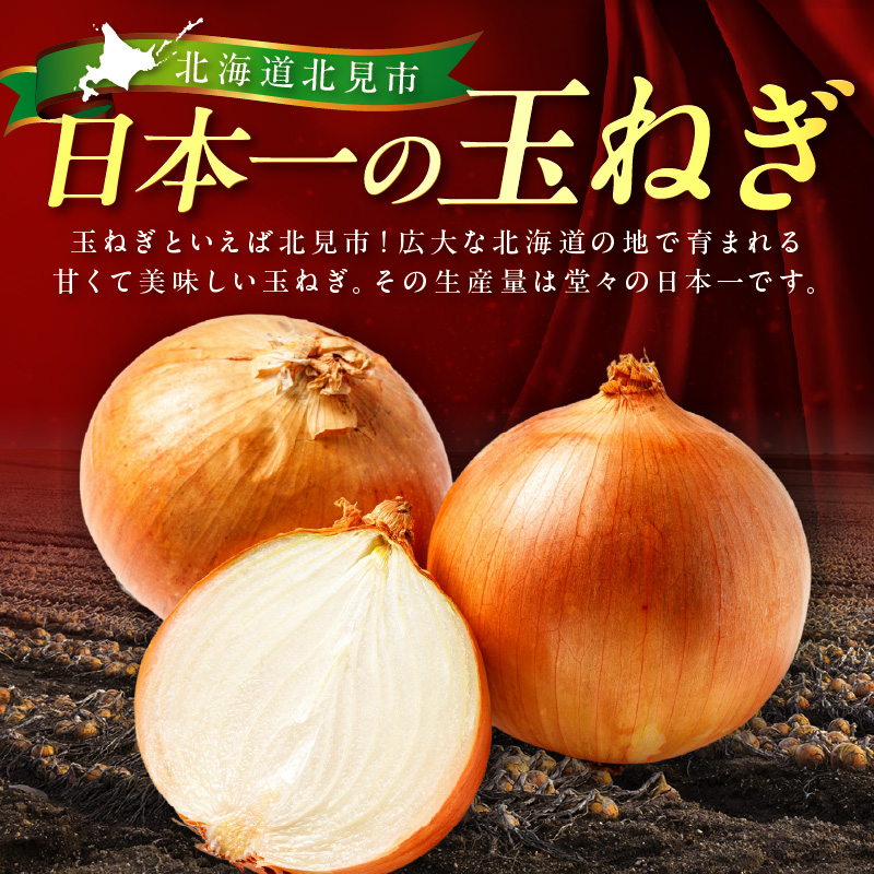 【予約：2025年12月から順次発送】北見市産玉ねぎ使用 味付け牛肉 醤油タレ 300g×5個 ( 肉 牛肉 たまねぎ タマネギ 焼肉 )【224-0013】