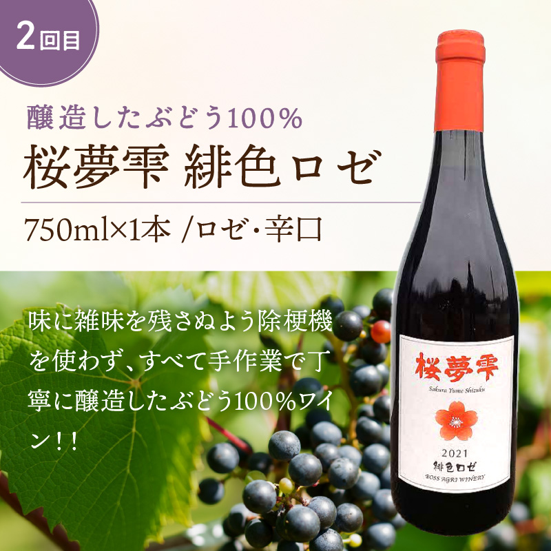 【3ヶ月定期便】こだわり地酒セット ( お酒 酒 地酒 ビール 地ビール ワイン ロゼワイン りんご 旭りんご シードル )【999-0060】