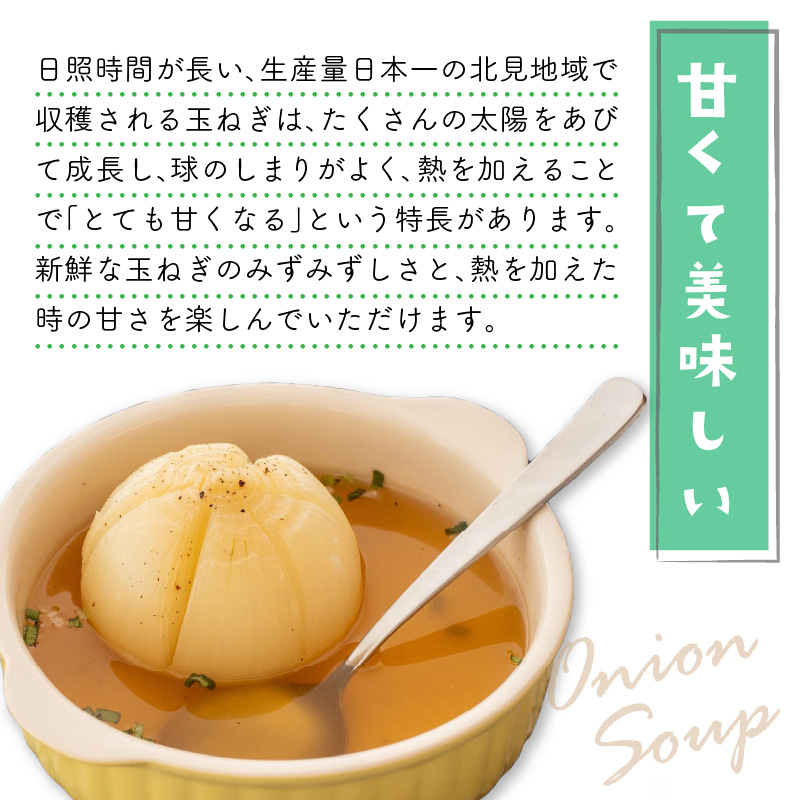 ☆L玉隔月定期便(10月・12月・2月)☆JAきたみらいから直送する新鮮玉ねぎ 10kg(L玉)×3回 ( 野菜 定期便 玉葱 たまねぎ 期間限定 )【999-0147-2025】