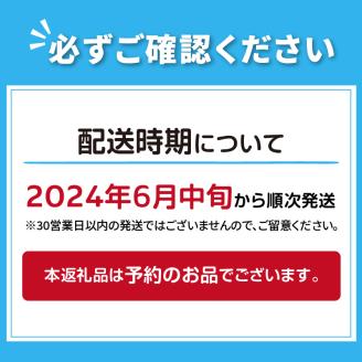 【予約：2024年6月中旬から順次発送】ホタテの燻製 中粒 ( ほたて ホタテ 燻製 おつまみ ソフト 塩漬け サクラチップ 刺身 )【161-0001-2024】