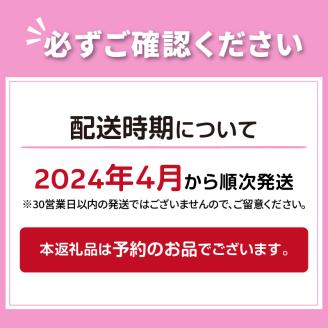 【予約：2024年4月から順次発送】ホタテの燻製 小粒 ( ほたて ホタテ 燻製 おつまみ ソフト 塩漬け サクラチップ 刺身 )【161-0002-2024】
