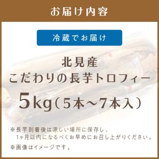 【予約：2025年11月下旬から順次発送】北見産 こだわりの長芋トロフィー 5kg箱 ( 長いも ながいも 野菜 数量限定 期間限定 5キロ )【169-0001-2025】