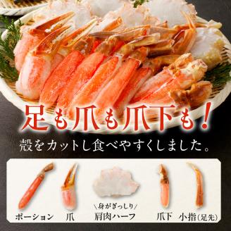 北見市加工 生冷本ズワイガニセット 1kg 昆布入り ( 蟹 かに 魚介類 カニ鍋 ズワイガニ ふるさと納税 贈答 熨斗 )【094-0052】
