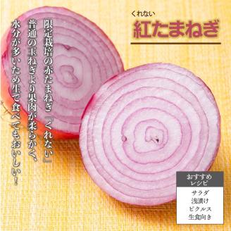 【予約：2024年10月上旬から順次発送】北海道 JAきたみらい「たまねぎ・紅玉ねぎセット」9kg ( 期間限定 野菜 たまねぎ 玉葱 )【005-0021-2024】
