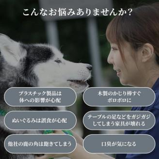 鹿の角 犬のおもちゃ ペット用 LLサイズ ( ペット おもちゃ 鹿 角 )【079-0005】