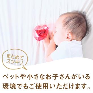 《14営業日以内に発送》きえ～るD ギフトボックス大 室内用 D-KGS-50 ( 消臭 消臭剤 消臭液 バイオ バイオ消臭 室内 )【084-0071】