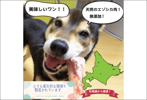 エゾシカアバラ骨 200g×5パック ( 犬 えさ 餌 犬の餌 ペットフード 鹿 エゾシカ肉 鹿肉 健康 おやつ 骨 )【025-0013】