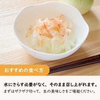 【予約：2025年7月中旬から順次発送】ところの白玉ねぎ 2kg ( 玉ねぎ タマネギ 玉葱 野菜 白玉ねぎ 2キロ 期間限定 辛みが少ない 生食 )【121-0013-2025】