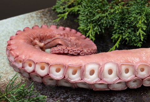 北海道北見市常呂産 ボイル水タコ足 約1kg前後 ( 海鮮 たこ 水タコ )【091-0010】