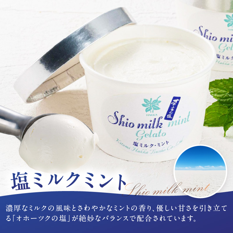 ミントジェラート カップ 3種×2個 ( ジェラート アイス アイスクリーム ハッカ チョコ ミント ミントアイス スイーツ チョコチップミント カカオ カップアイス )【007-0010】