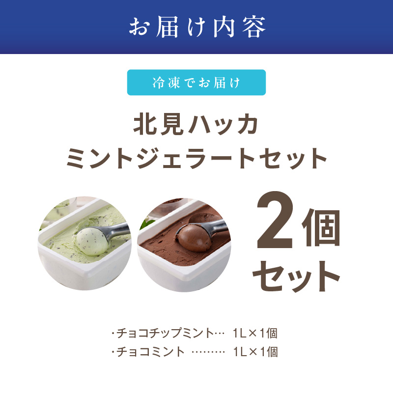ミントジェラート1L 2種×1個 ( ジェラート アイス アイスクリーム ハッカ チョコ ミント ミントアイス スイーツ チョコチップミント カカオ ふるさと納税 )【007-0017】