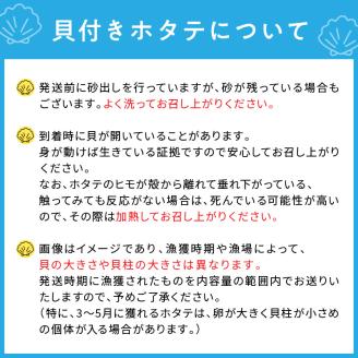 オホーツク貝付きほたて 5kg(30枚～50枚)( 海鮮 魚介 魚介類 貝 貝類 ホタテ ほたて 帆立 殻付き 貝柱 贈答 ギフト 贈り物 お中元 お祝い BBQ バーベキュー )【031-0013】